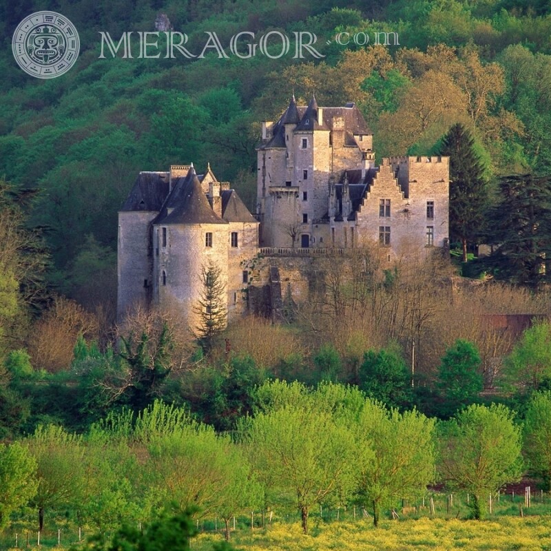 Château médiéval abandonné dans l'avatar de la forêt Bâtiments