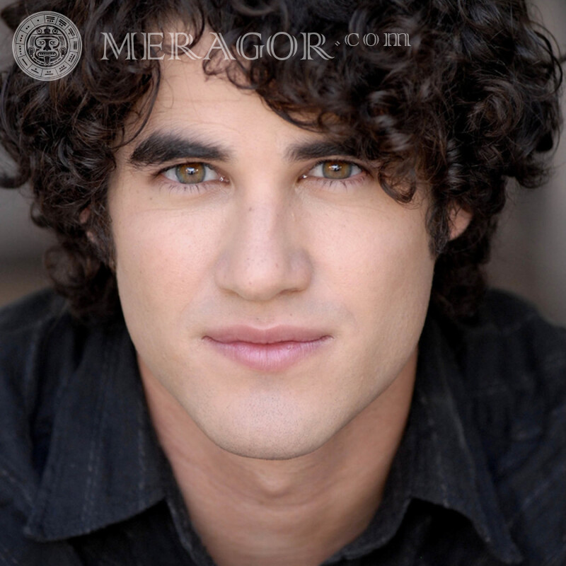 Darren Criss profile picture Celebrities For VK Faces, portraits Faces of guys