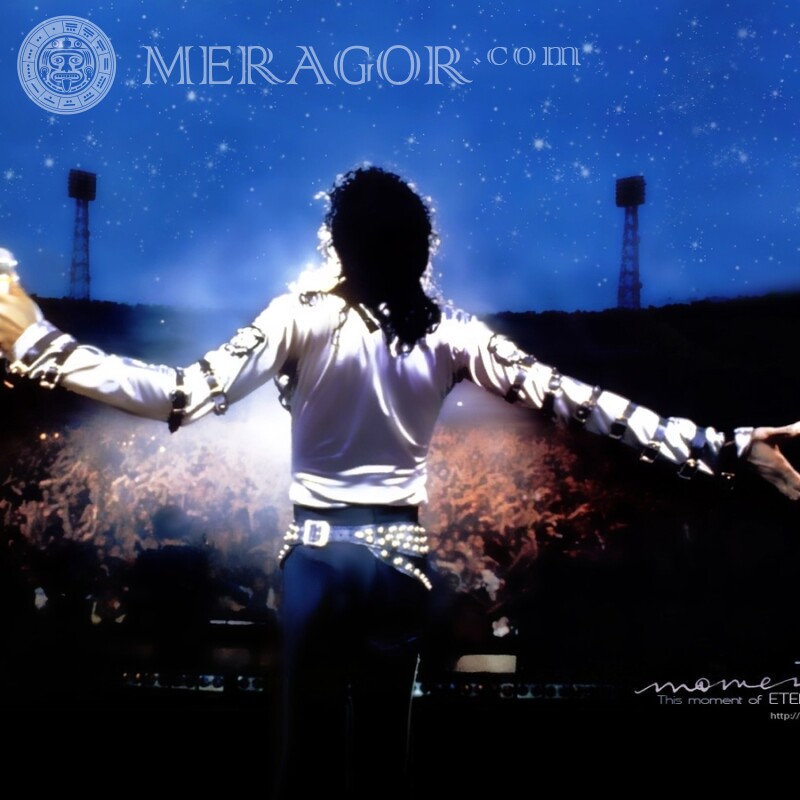 Michael Jackson au concert photo de l'arrière sur la photo de profil Musiciens, danseurs Gars De dos Célébrités