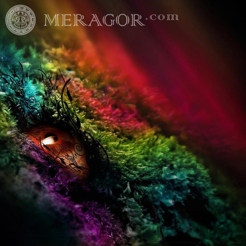 Avatar de musgo multicolor de abstracción Abstracción
