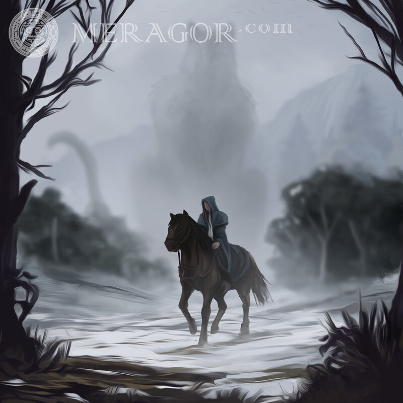 Лошадь вода деревья туман на аккаунт Без лица Лошади