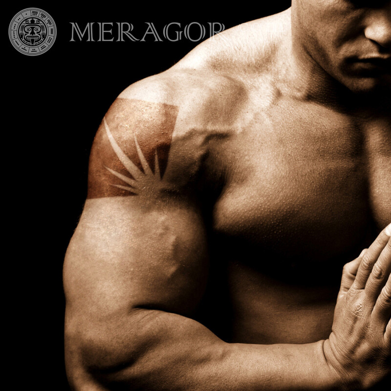Foto dos músculos do bíceps para foto de perfil Desporto Sem rosto Homens Com piercings, tatuagens