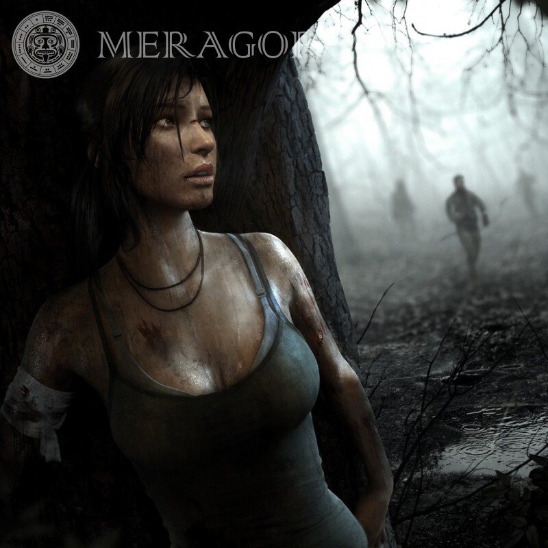 Картинка из игры Lara Croft скачать бесплатно Lara Croft Todos los juegos
