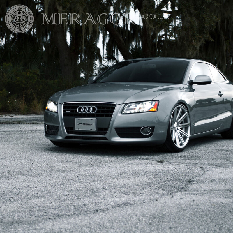 Audi download a photo for a girl's profile picture Cars Transport