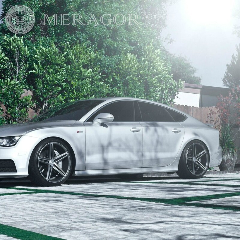 Téléchargement de la photo de profil Audi Les voitures Transport