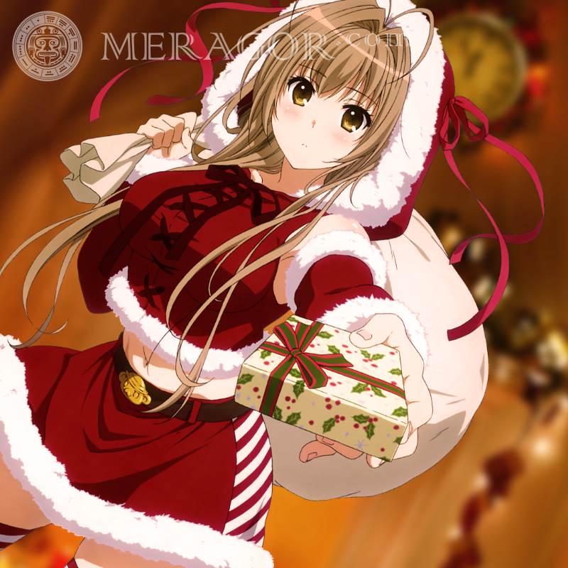 anime avatar about New Year girl Anime, figure Holidays