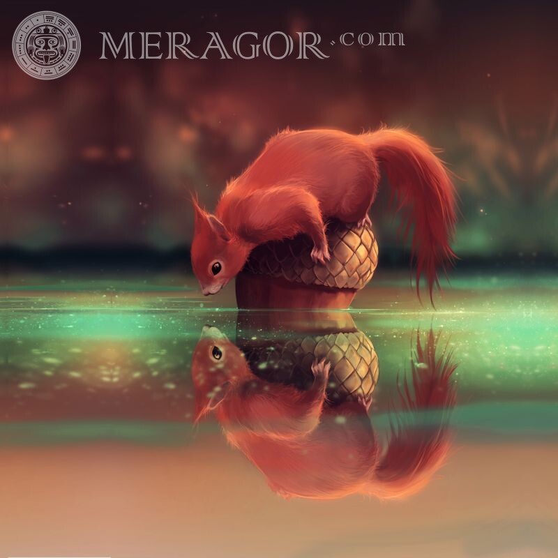 Beautiful art about a squirrel download for icon Squirrels Anime, figure