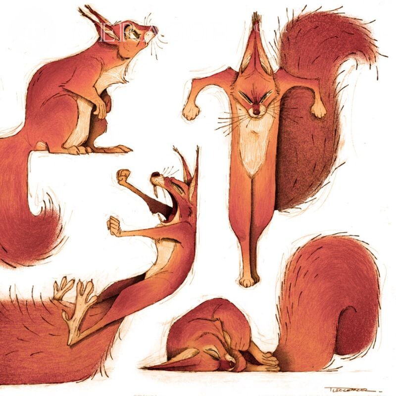 Neue Kunst über ein Eichhörnchen auf einem Avatar Eiweißstoffe Anime, Zeichnung