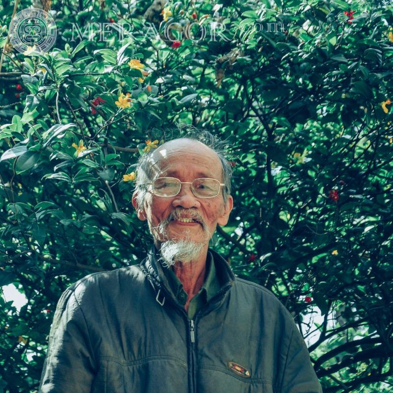 Фото пожилого мужчины на аву Лица, портреты Азиаты В очках