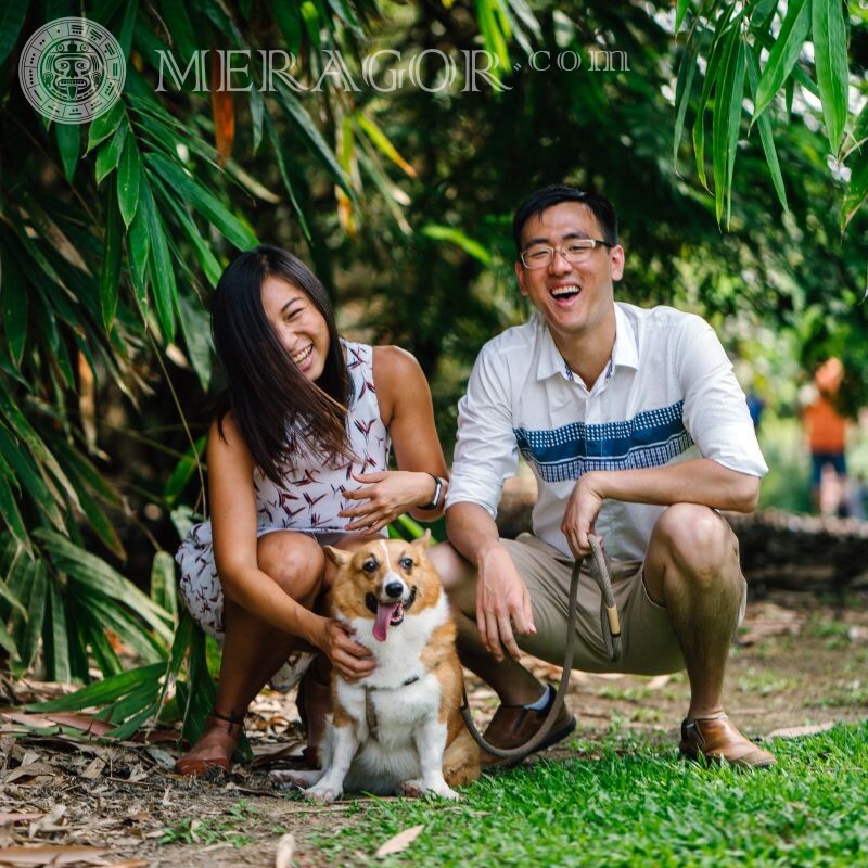 Китайцы семья фото для аватара Азиаты Парень с девушкой Собаки