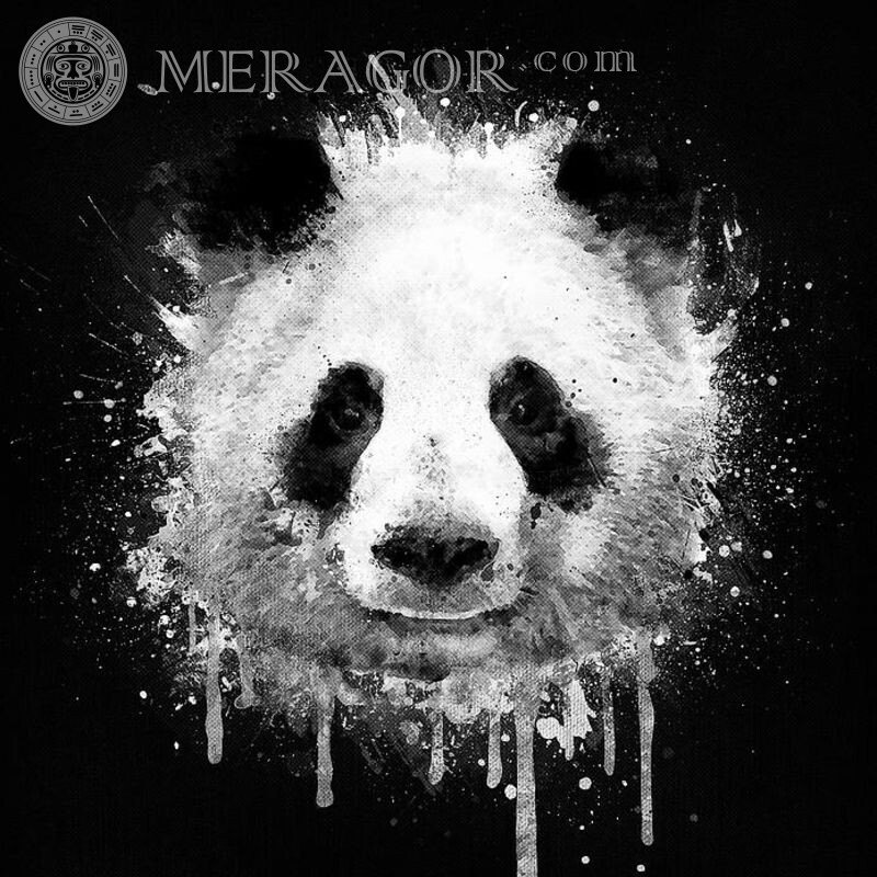 Télécharger l'avatar pour VK panda bear Ours Pour le clan Animé, dessin Pour VK