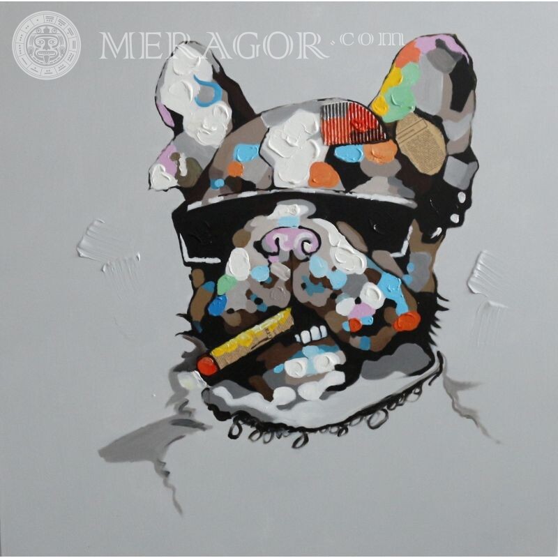 Bulldog sur avatar en VK Chiens Abstraction Animé, dessin Pour VK
