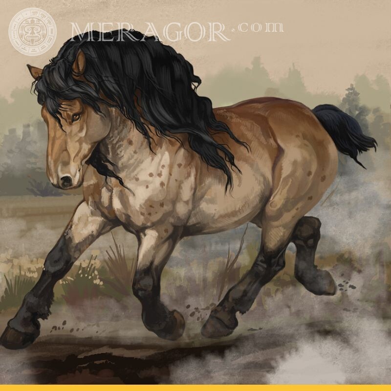Гарний кінь на аватар Коня