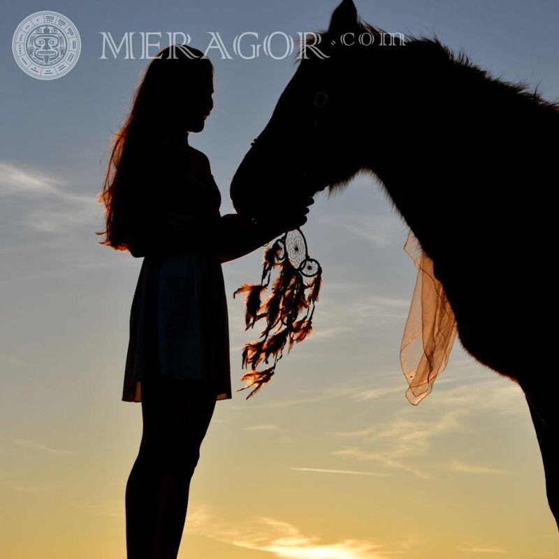Girl and horse, photo of silhouettes Horses Without face Girls
