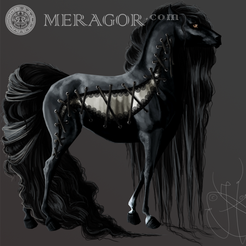 Art with a black horse Horses