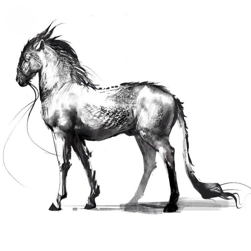 Download de desenho de cavalo no avatar Cavalo