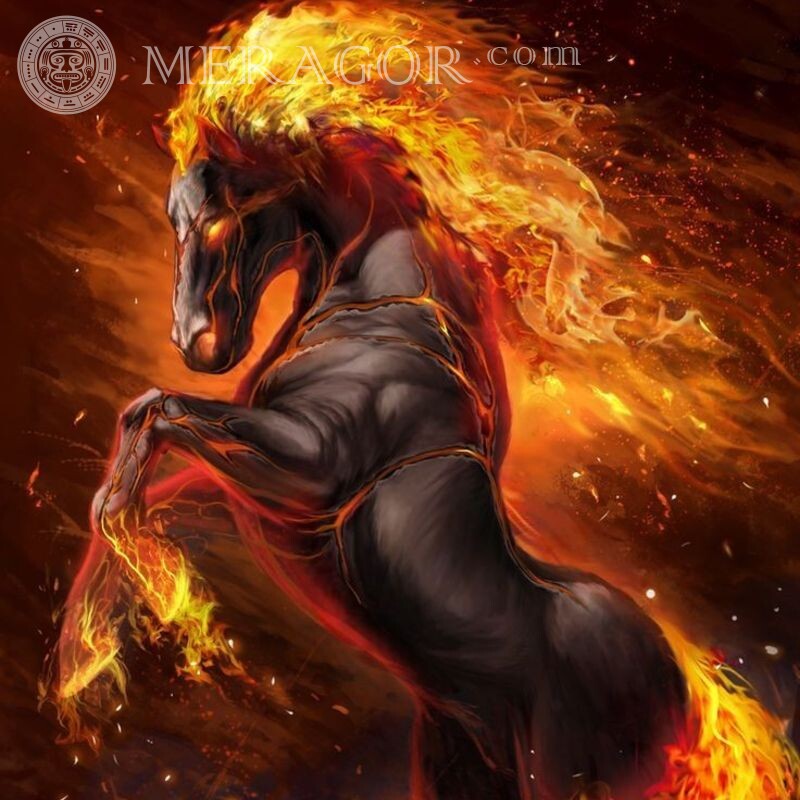 Вогняний кінь на аватар Коня