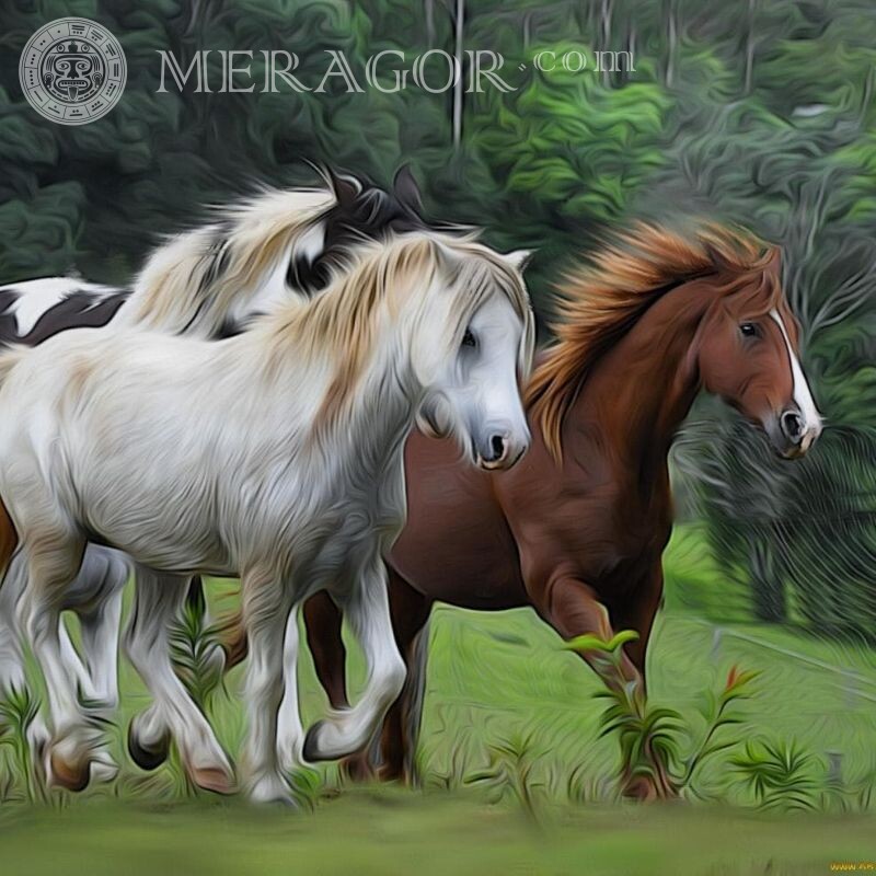 Herd of horses for icon Horses