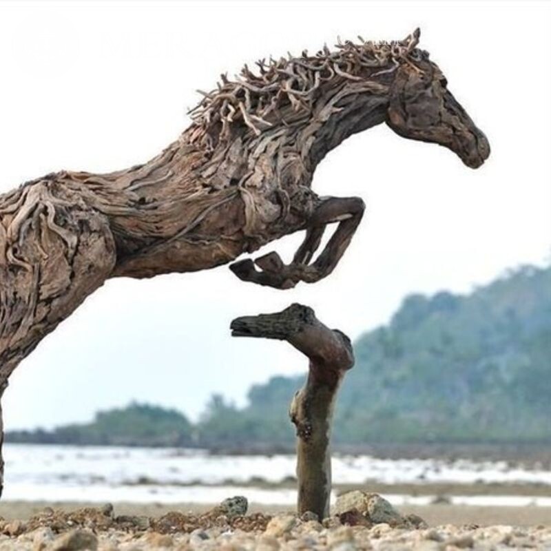 Необычные картинки про лошадей Лошади