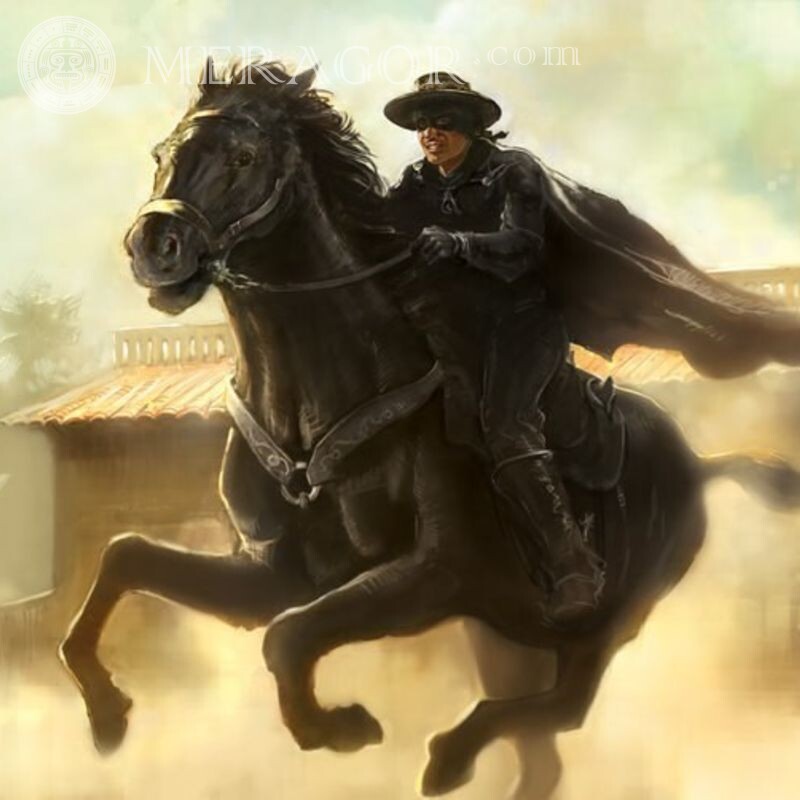 Zorro auf Avatar Pferde Maske Sommer