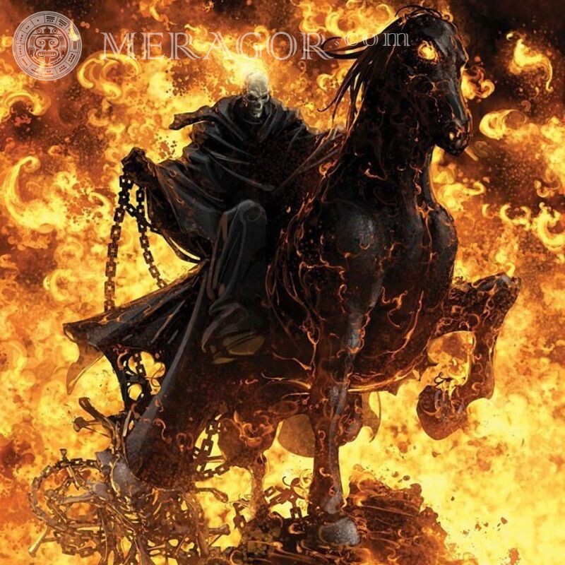 Laden Sie den Avatar Death Rider herunter Pferde Lustig Steam
