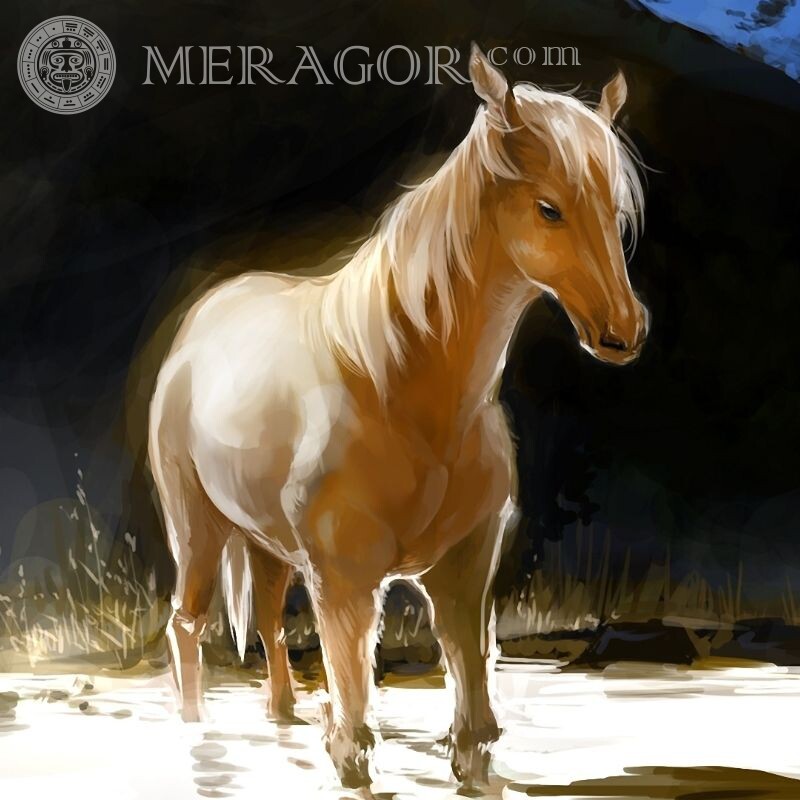 Рудий кінь на аватар Коня