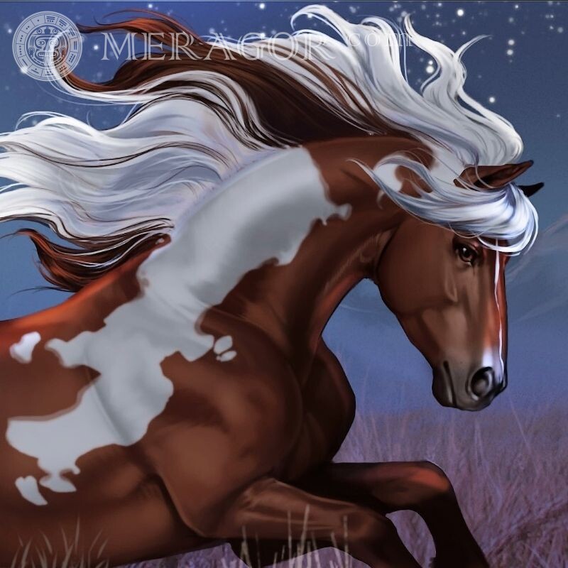 Bild mit Mustang auf Avatar Pferde