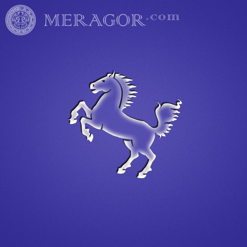 Logotipo do cavalo no avatar Cavalo Anime, desenho