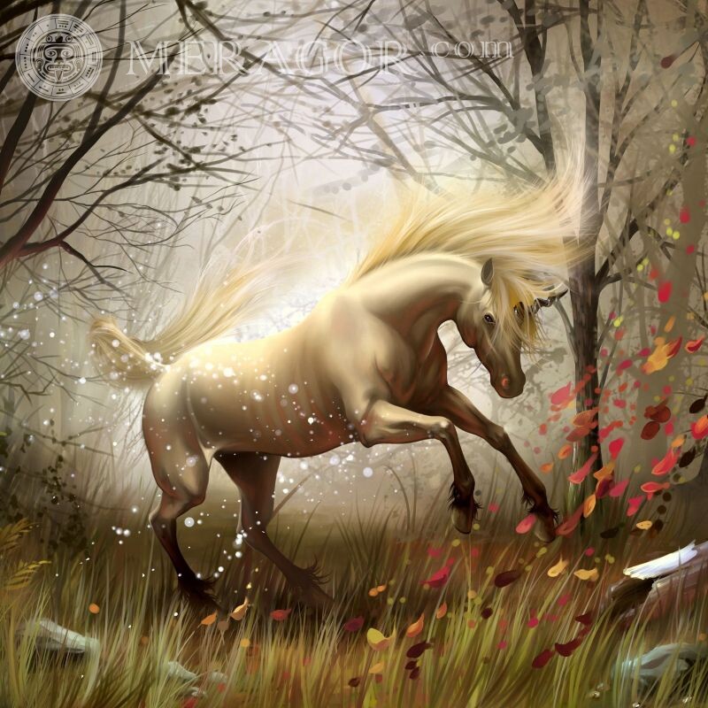 Картинки с красивыми лошадьми Лошади