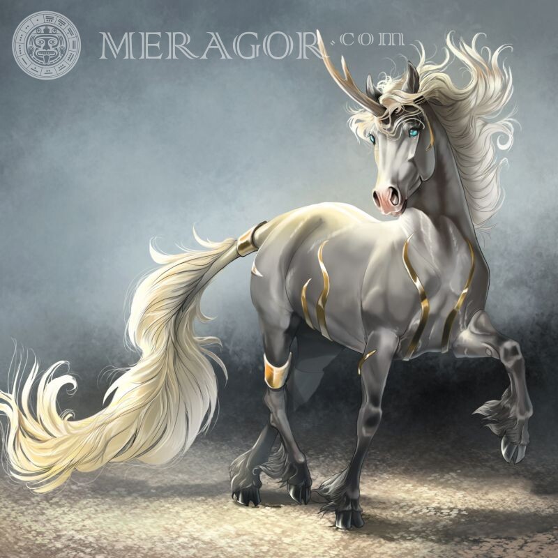 Unicorn for icon Horses Anime, figure