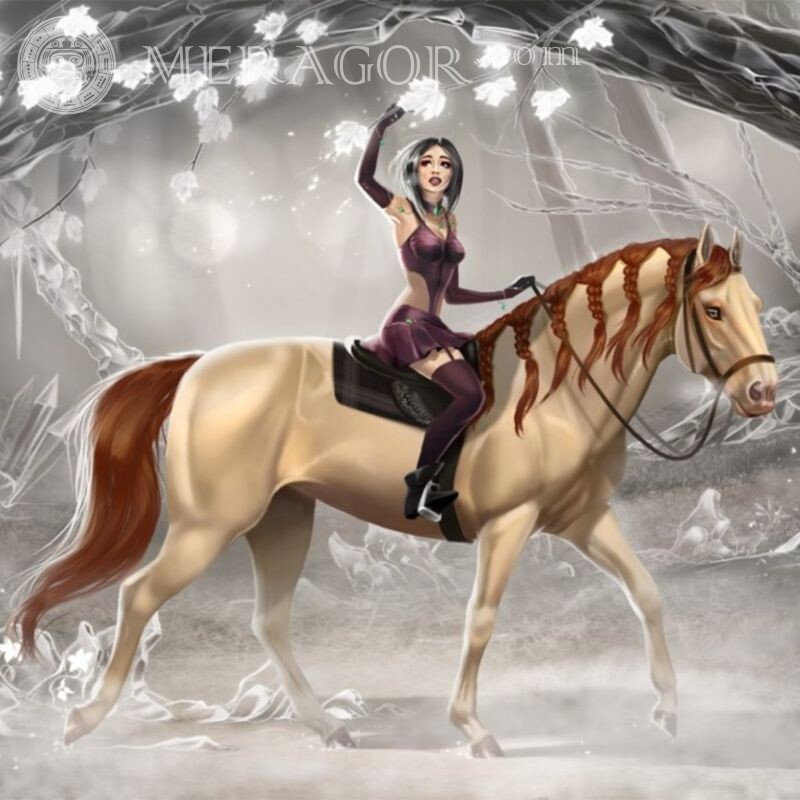 Картинка девушка на коне Лошади Девушки Стим
