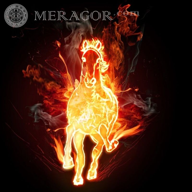 Imagem de cavalo de fogo para avatar Cavalo