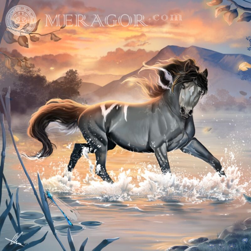 Imagens de cavalos e cavalos para avatar Cavalo