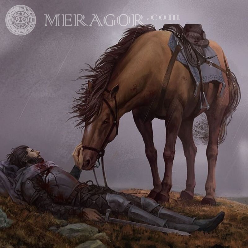 Конь и умирающий воин картинка на аву Лошади