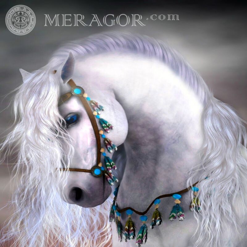 Bellas imágenes para avatar con caballos Caballos