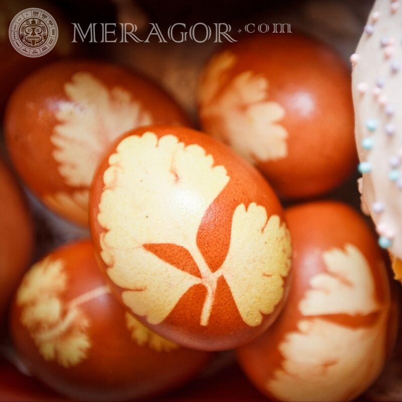 Bild mit farbigen Eiern für Avatar herunterladen Feierzeit