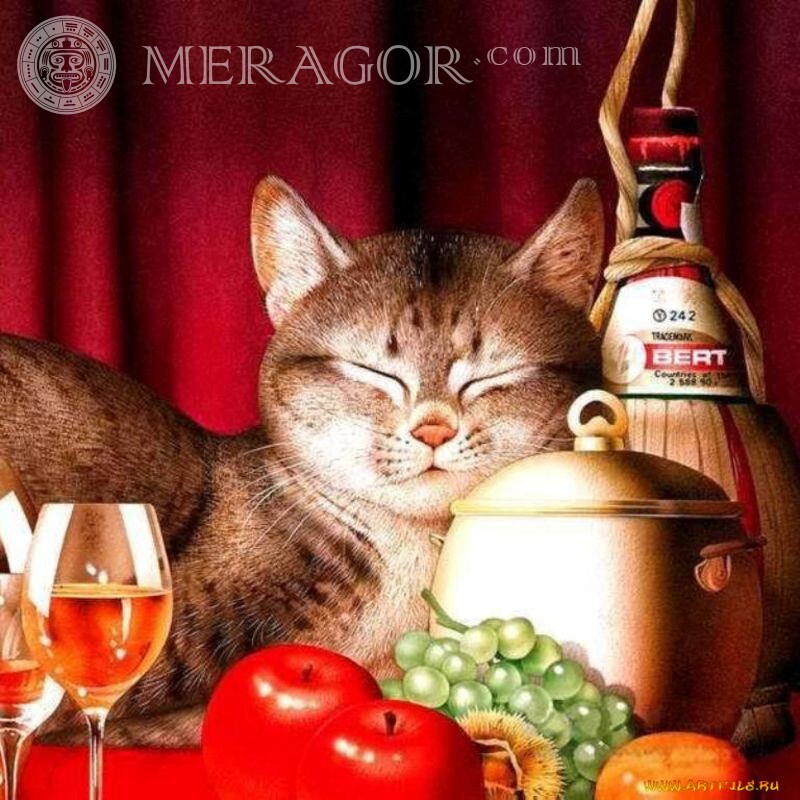 Новогодняя картинка с кошкой Коты Праздники