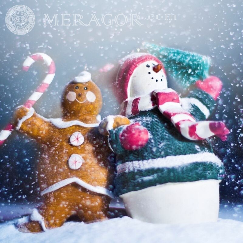 Avatar do boneco de neve | 1 Feriados