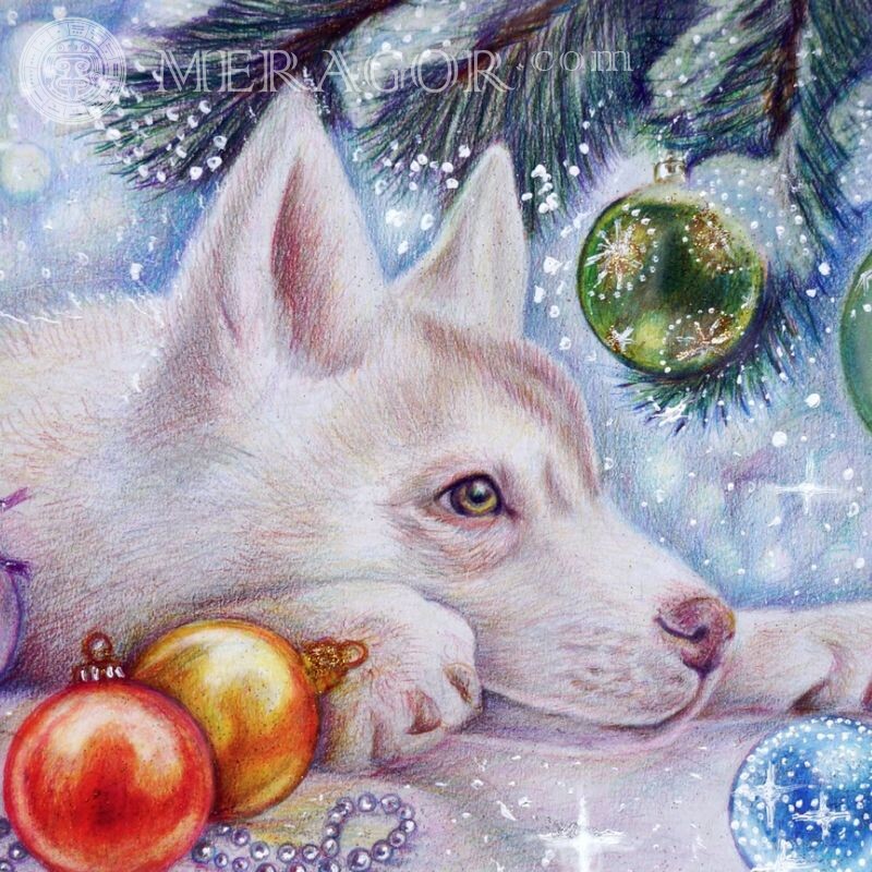 Новогодний аватар с собакой  Праздники Собаки