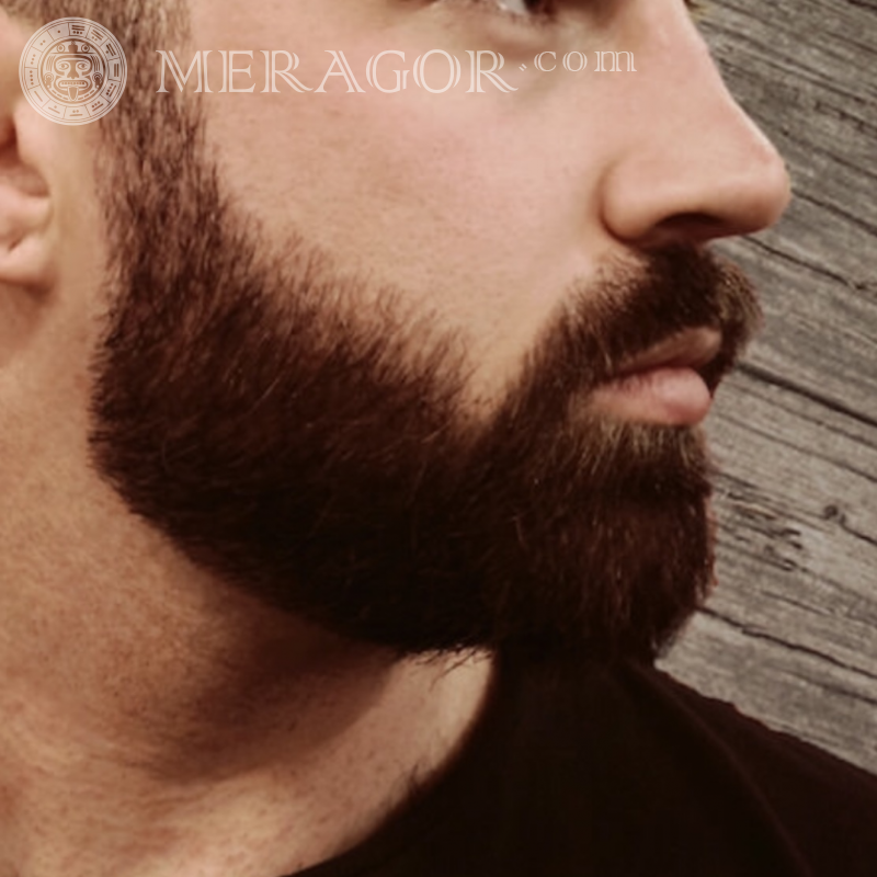 Imagem de avatar de barba Barbudo Sem rosto Rapazes Homens