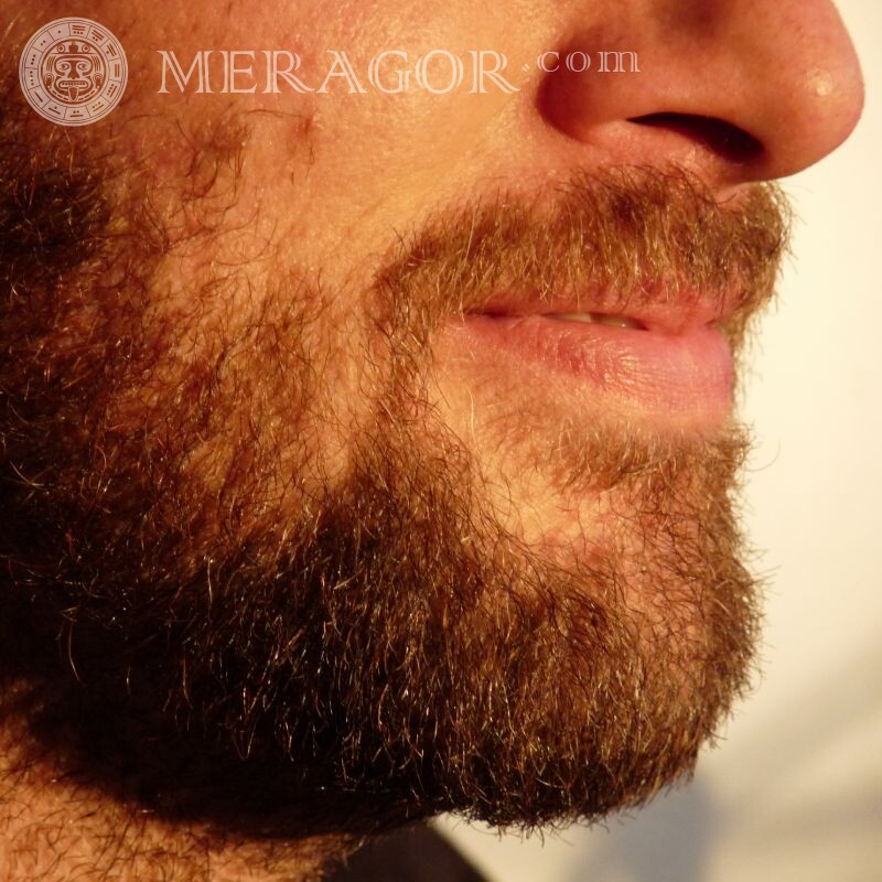 Photo de barbe sur avatar Hommes Sans visage Barbu