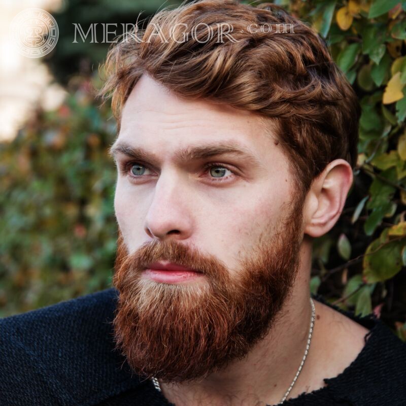 Imagens para avatar com barba Barbudo Pessoa, retratos Rostos de homens Homens