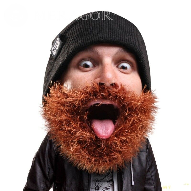Barba de pelúcia legal no avatar Engraçados Na tampa Pessoa, retratos Rostos de rapazes