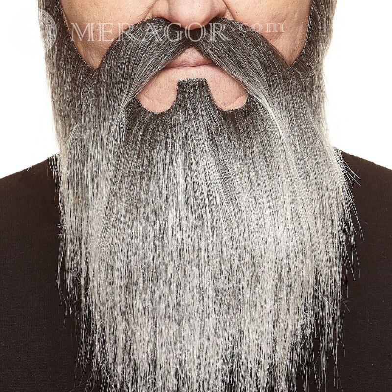 Gray Beard photo for profile Bearded Without face Men Simple