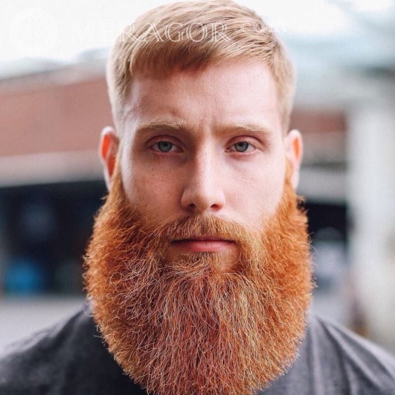 Barba ruiva no avatar Barbudo Pessoa, retratos Todas as faces Rostos de rapazes