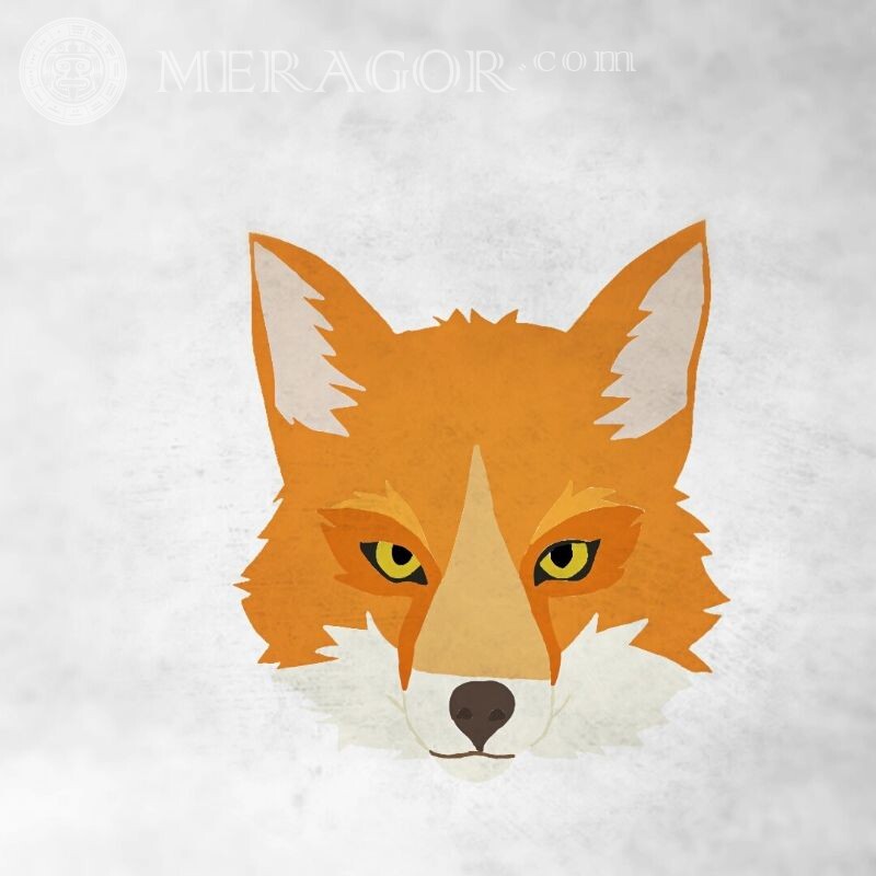 Picture of a fox for icon Foxes For the clan Anime, figure