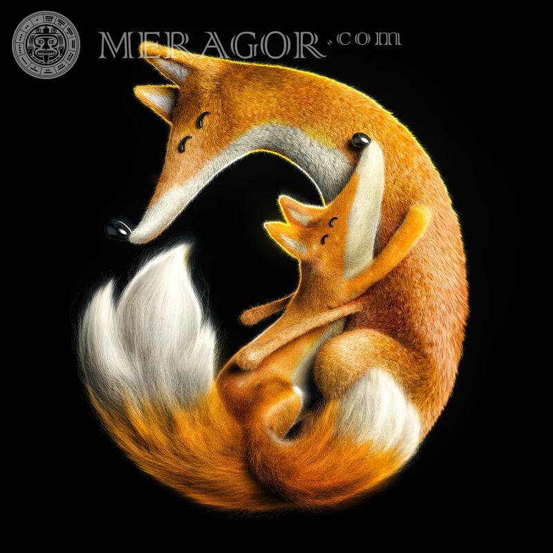 Cool icon fox and fox Foxes Family