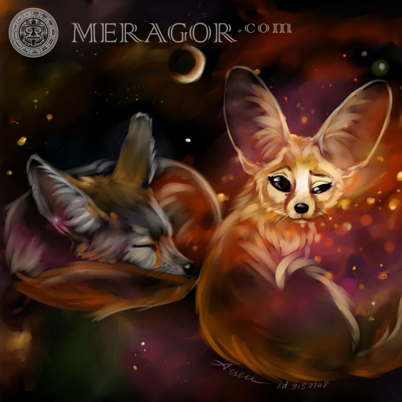 Foxes for icon Foxes
