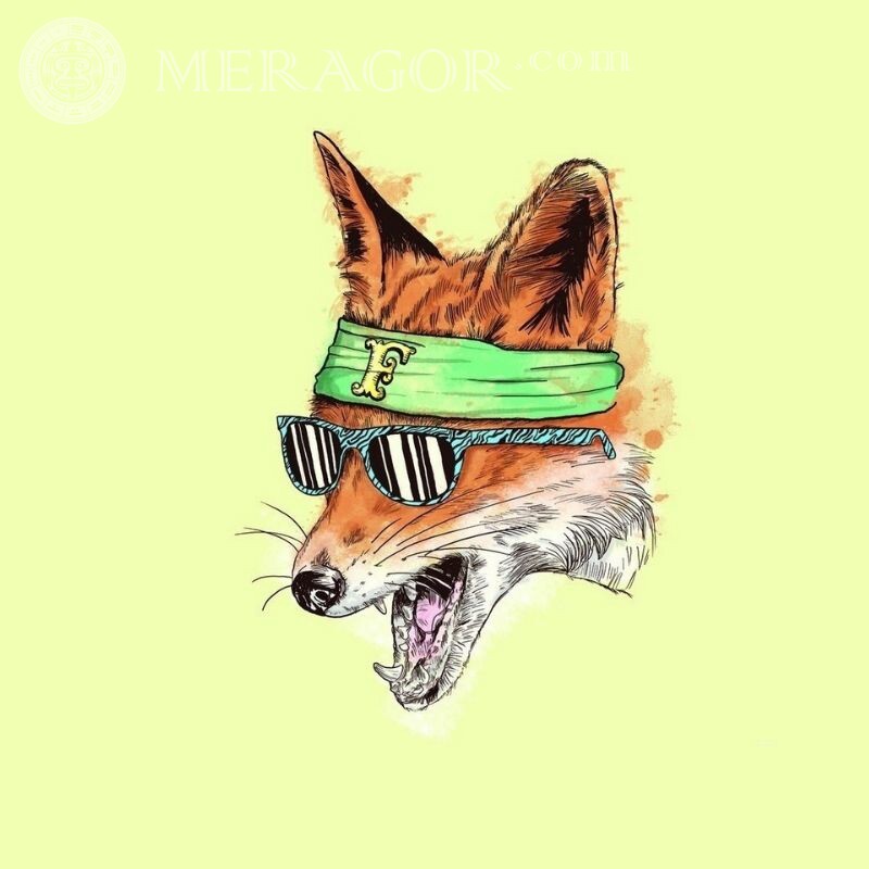 Cool fox picture for icon Foxes Anime, figure Funny animals