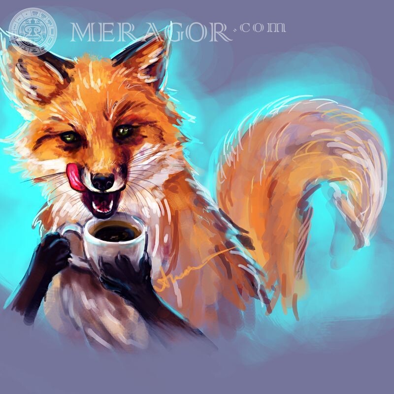 Imagen en avatar fox tomando café Zorros